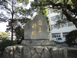 DSC01775